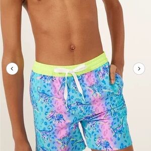 Chubbies The Dino Delights swim trunks